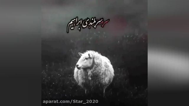 استوری عید قربان || عید قربان مبارک || تبریک عید قربان