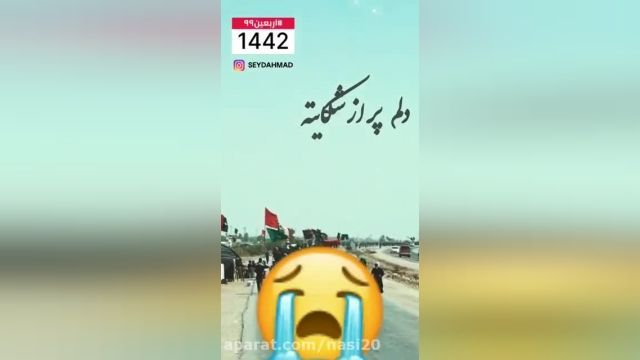 سفر کردم به دنبال سر تو / سپر بودم برای دختر تو / /  امان از دل زینب