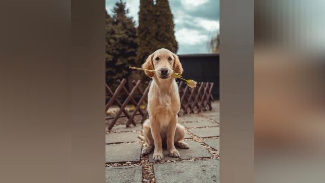 Soundeffect23