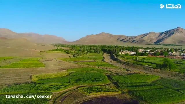 گلاب گیری در روستای آذران کاشان