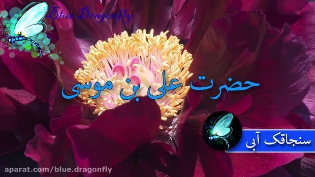 استوری تبریک ولادت امام رضا || کلیپ تبریک میلاد امام رضا || نماهنگ تولد امام رضا