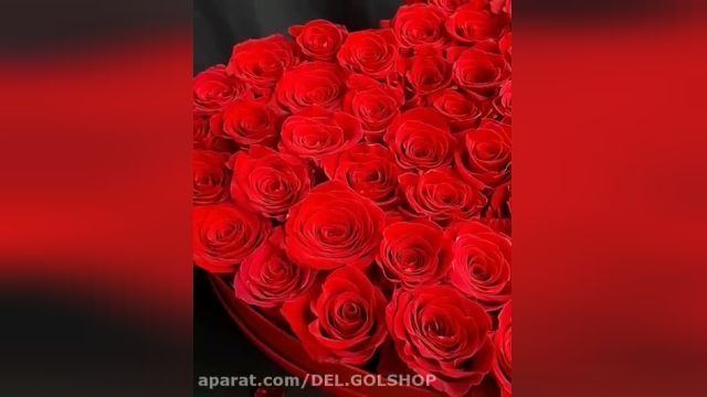 باکس گل رز قرمز - شیک ترین کادوی ولنتاین