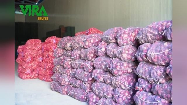 Iranian onion exporter (Vira Fruits)