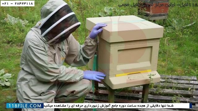 آموزش زنبورداری رایگان- زنبورداری مدرن-انتقال کندوچه نیاز به غذا دارد