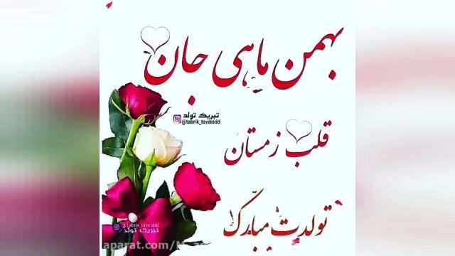 کلیپ تبریک تولدت مبارک بهمنی عزیزم "برای وضعیت واتساپ"