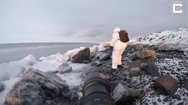 دانلود ویدیو ای از مقابله عکاس حیات وحش شجاع با خرس قطبی