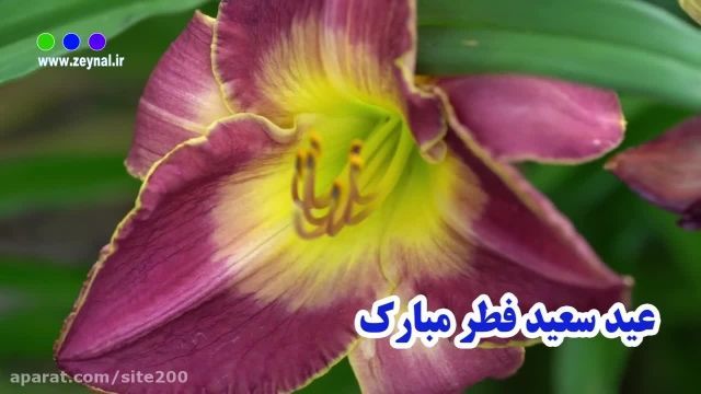 کلیپ عید فطر 1401 مبارک || موزیک شاد عید فطر