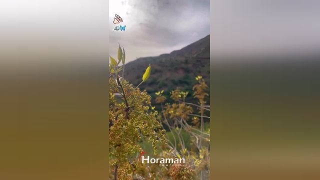 طبیعت روستای هورامان horaman