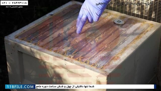 آموزش پرورش زنبور عسل  - آموزش رایگان زنبورداری - جابجا کردن کندوها 