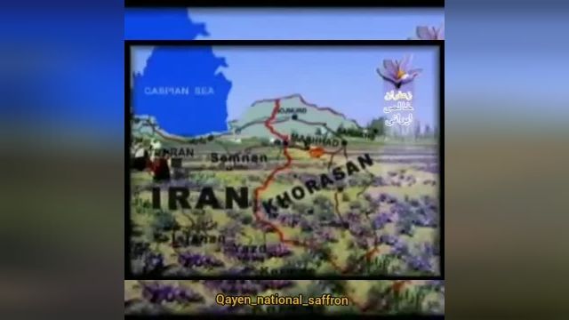 وضعیت زعفران ایران در جهان