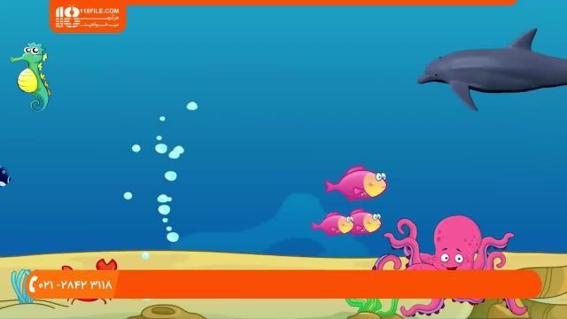 انیمیشن بونس پاترول - آموزش انواع حیوانات دریایی