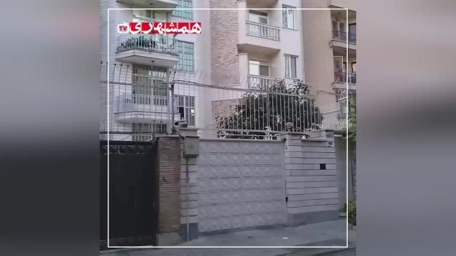 حمله خفاش‌ها در محله تهران‌ویلا | ویدیو 