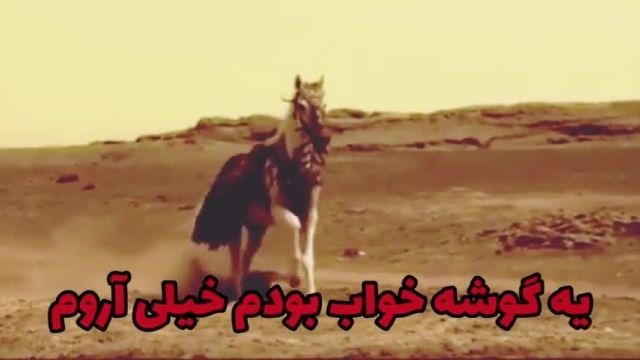 ویدئو شهادت حضرت رقیه //گریه نکن رقیه/ کلیپ شهادت 1401 برای وضعیت واتساپ