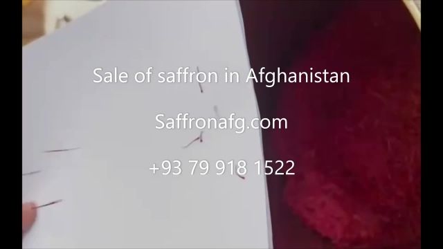  saffron in Afghanistan زعفران افغانی 