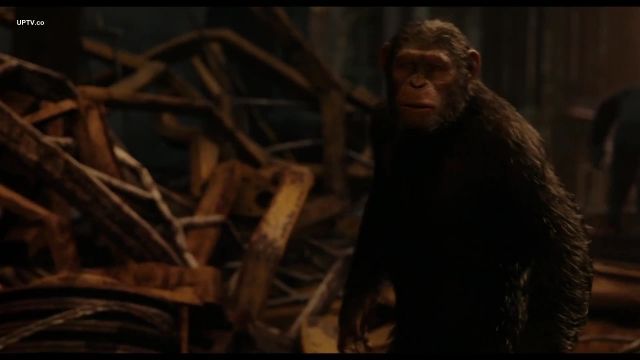 فیلم طلوع سیاره میمون‌ها Dawn of the Planet of the Apes 2014 -دوبله فارسی 