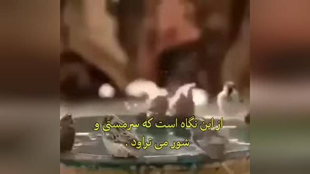 کلیپ جالب با دلنوشته زیبا و دوست داشتنی 