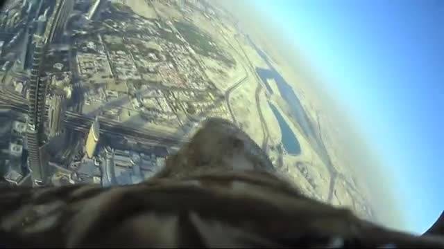 دانلود ویدیو دیدنی از رکورد پرواز عقاب از بالاترین نقطه برج خلیفه در دبی