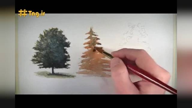 نقاشی با آبرنگ | آموزش کشیدن گام به گام درخت 