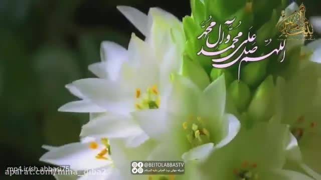 کلیپ برای ولادت حضرت محمد (ص) || آهنگ عربی و فارسی