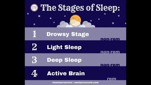 درباره مراحل مختلف خواب چه میدانید؟