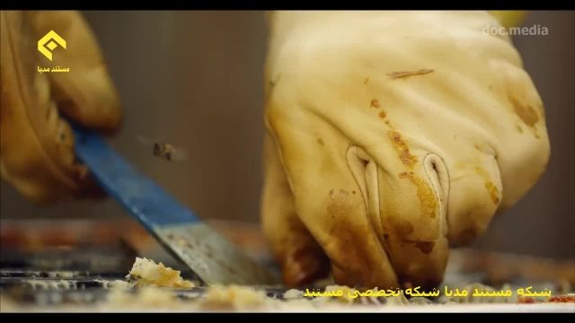 دنیای اسرار آميز زنبورهای عسل-شبکه مستند مدیا HD در ماهواره هارتبرد فرکانس..
