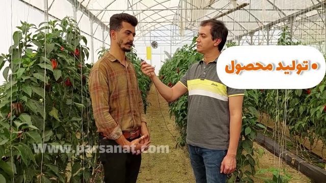 بازدید از گلخانه فلفل دلمه‌ای هیدروپونیک (قسمت پنجم)