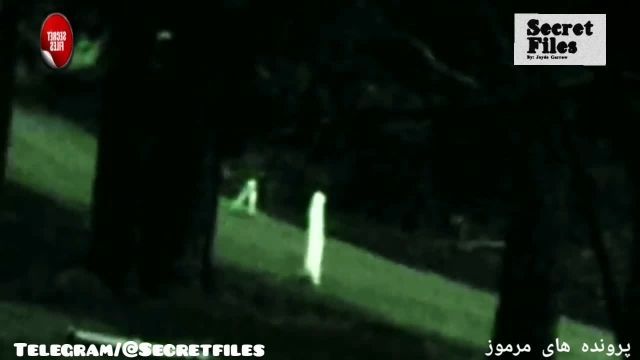 ویدیوهای واقعی ترسناک از موجوداتی وحشتناک بنام شبگردها (شکار دوربین _ قسمت 53) 