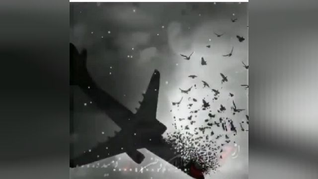 کلیپ از سقوط هواپیمای اوکراینی-لحظه اولیه سقوط