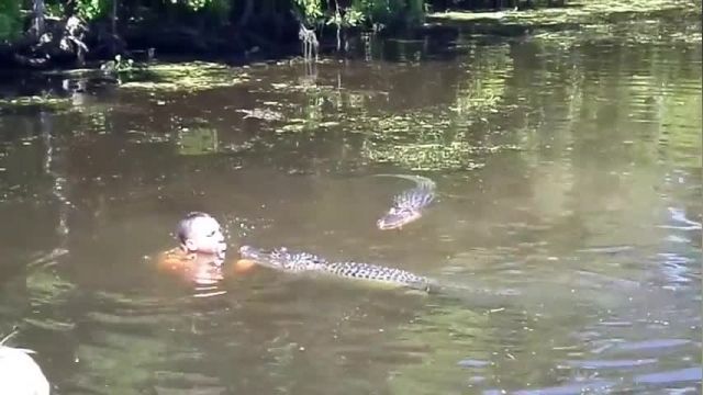 دانلود ویدیو ای از دوستی با تمساح ها