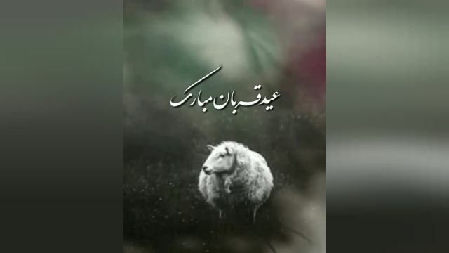 کلیپ کوتاه تبریک عید سعید قربان برای وضعیت واتساپ و استوری اینستاگرام