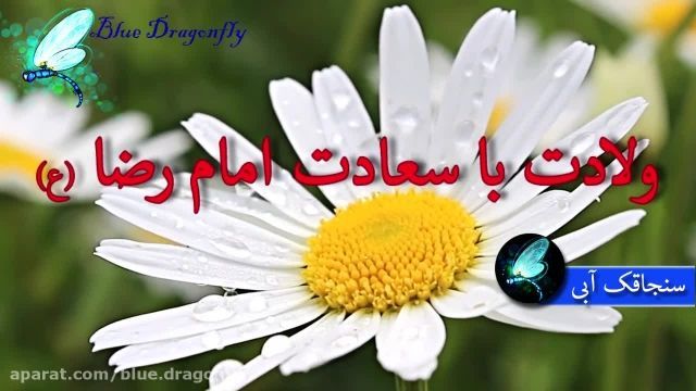 دانلود کلیپ تبریک میلاد امام رضا علیه السلام