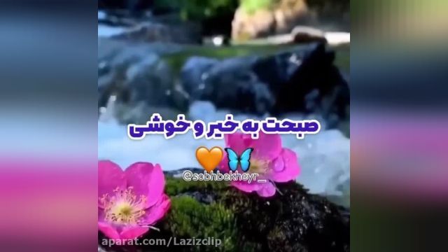 صبحت بخیر و خوشی || کلیپ صبح بخیر شاد