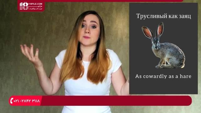 آموزش زبان روسی - پنج مقایسه حیوانات در زبان روسی