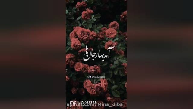 دانلود کلیپ وضعیت برای واتساپ ~ (خواننده محسن چاووشی + اهنگ بهار جان ها)