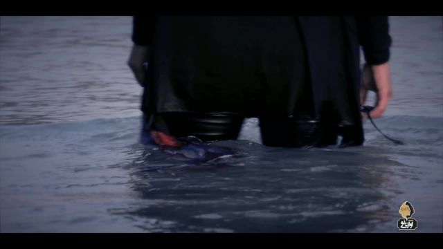 موزیک ویدیو کشتی من به گل نشست از ماکان بند 
