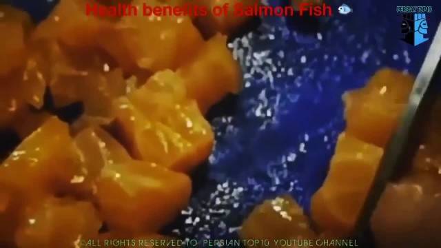 چند نکته مهم در رابطه با خواص ماهی سالمون