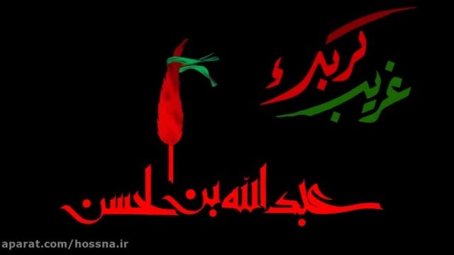 کلیپ مداحی شب پنجم محرم || حاج محمود کریمی