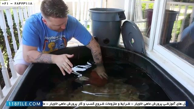 آموزش پرورش ماهی خاویار در ایران-نحوه پرورش ماهی خاویار-فیلتر آب با سطل زباله