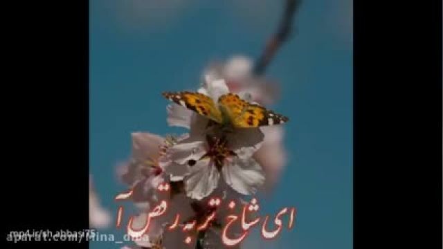 موسیقی شاد محسن چاووشی - به رقص آ - کلیپ تبریک عید