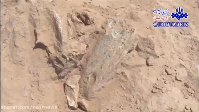 فسیل‌های 9 میلیون ساله حیوانات مهره‌دار در شهر مراغه کشف شد