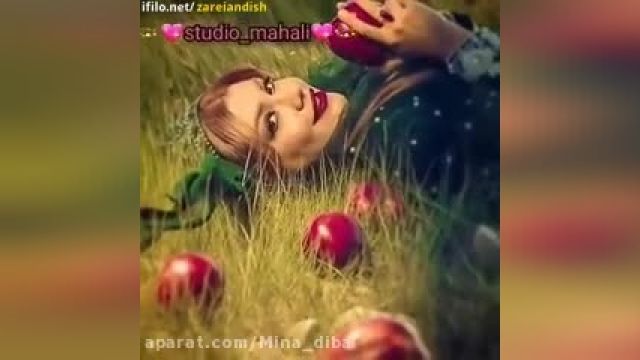 کلیپ بسیار زیبا و عاشقانه لری مخصوص استوری و وضعیت (شهناز خانوم)