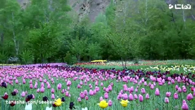 طبیعت زیبای روستای گرماب استان البرز