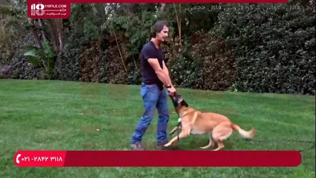 آموزش تربیت سگ (دوبله) - استفاده از اسباب بازی برای سرعت بخشیدن به اطاعت
