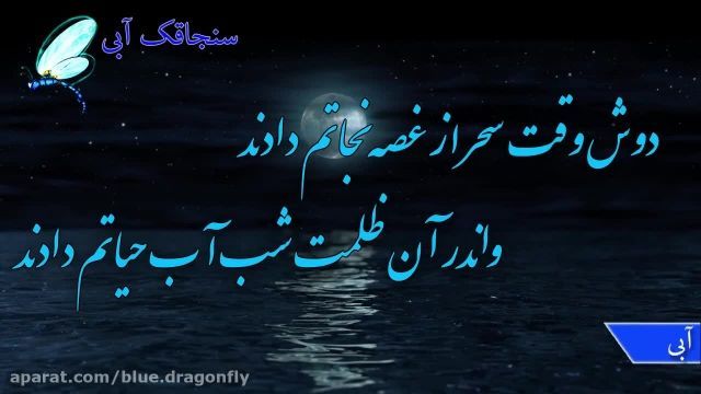 کلیپ شب قدر - دکلمه شعر شب قدر - کلیپ شهادت حضرت علی