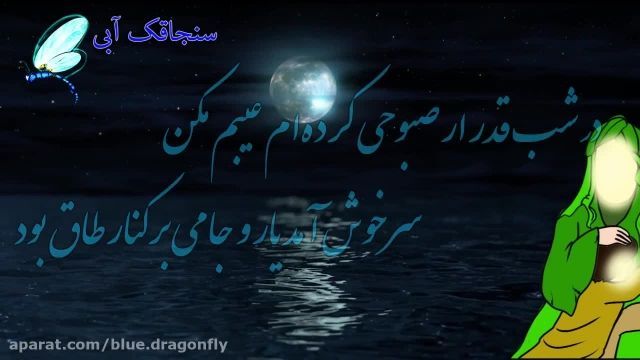 کلیپ شب قدر - دکلمه شعر شب قدر - شهادت حضرت علی