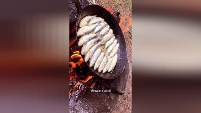 سرخ کردن ماهی کولی در طبیعت گیلان