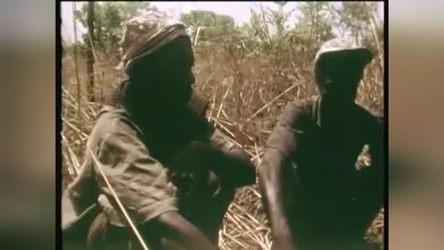فیلم شکار مار پیتون توسط بومیان آفریقا | ویدیو 