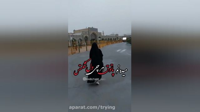  استوری هرکی از دنیا بریده || شهادت امام رضا 