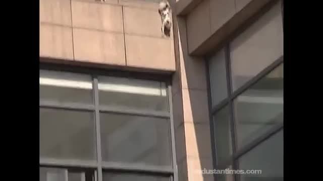 دانلود ویدیو ای از پرش دراماتیک گربه از طبقه دوم ساختمان در چین
