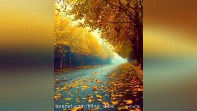 دانلود ویدیو کلیپ بسیار جذاب برای فصل پاییز ~ (خزون زرد)